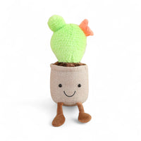 Kaktus Kuscheltier Kawaii blühend