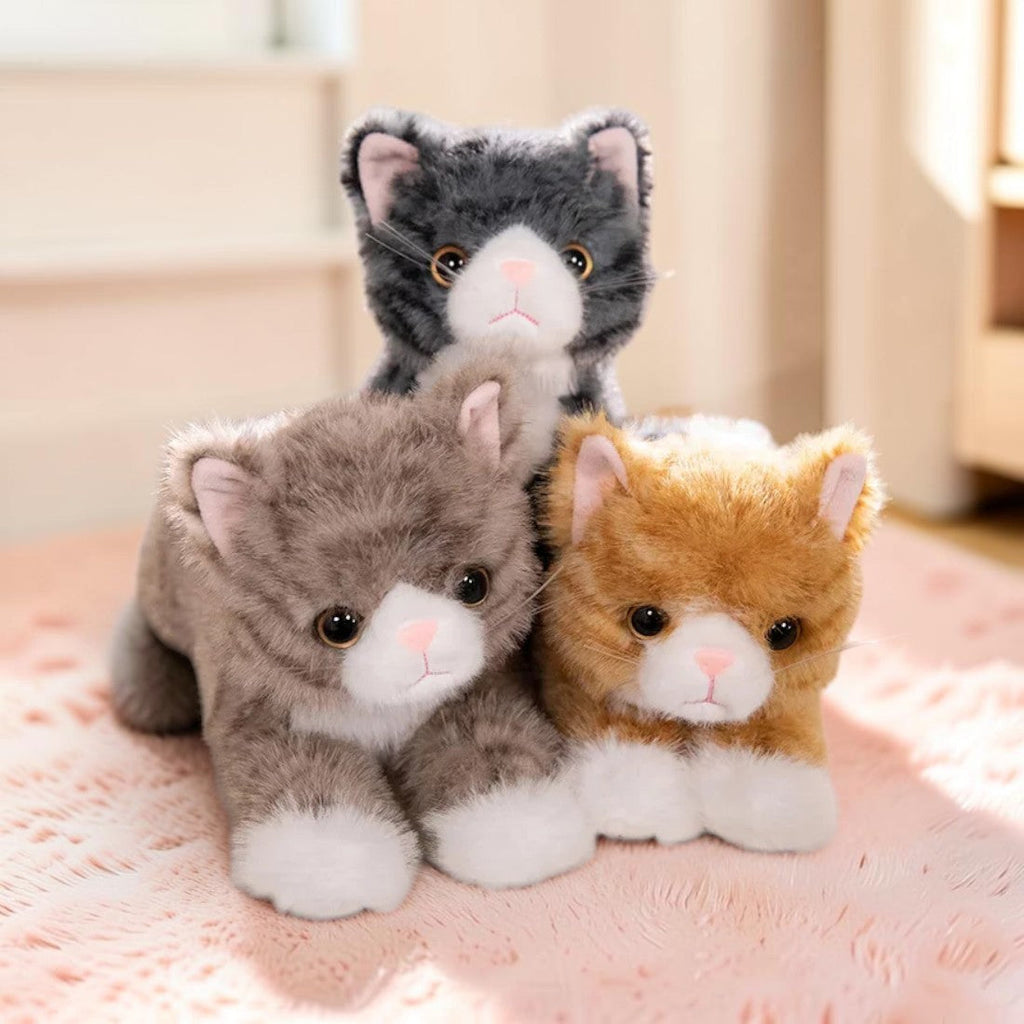 Katze Kuscheltier zum Kuscheln