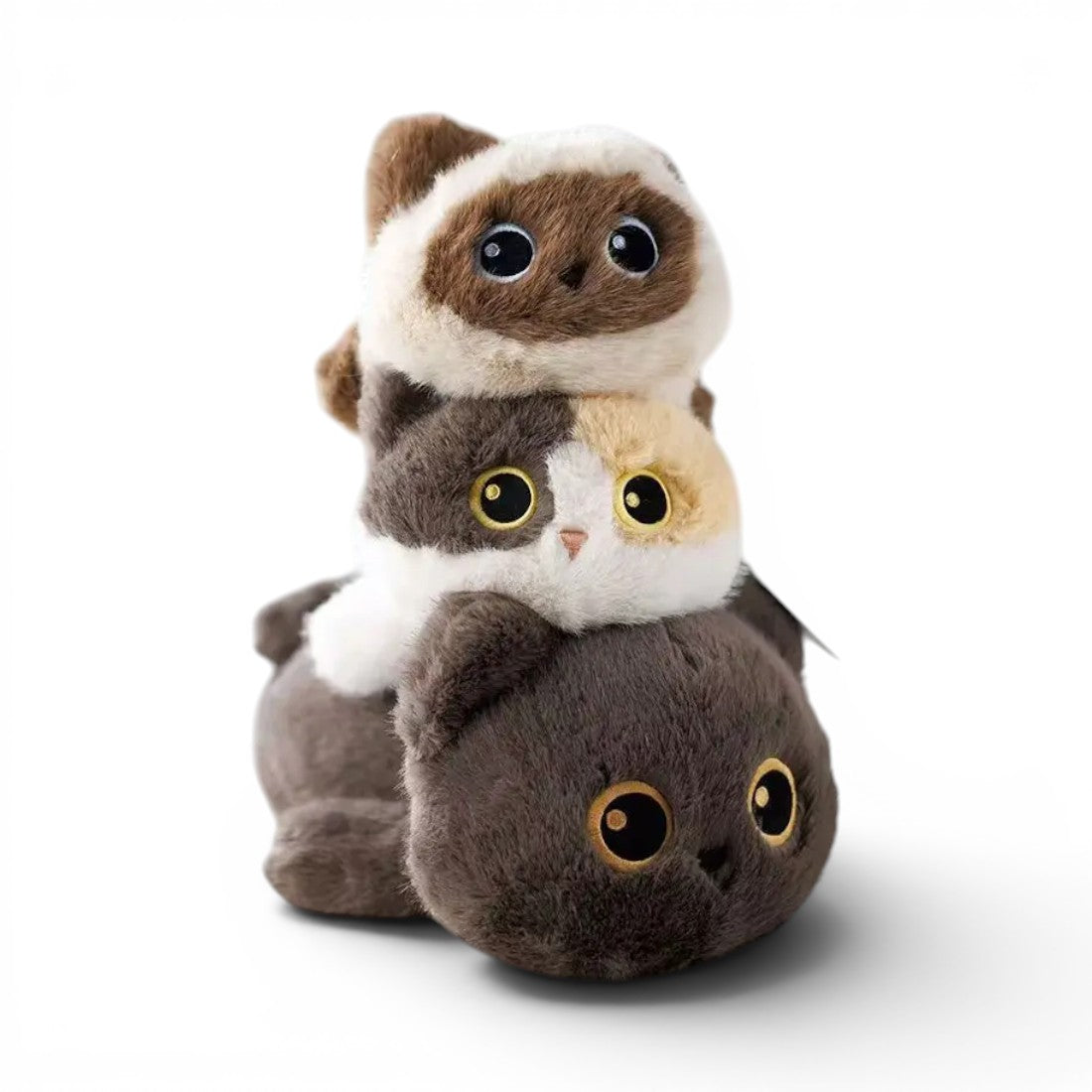 Kleine Katze Kuscheltier unwiderstehlich süß