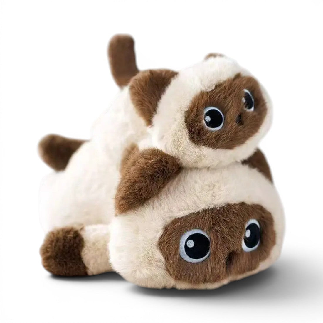 Kleine Katze Kuscheltier unwiderstehlich süß
