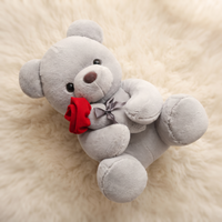 Teddybär Kuscheltier mit roter Rose zum Valentinstag - Detailaufnahme Material