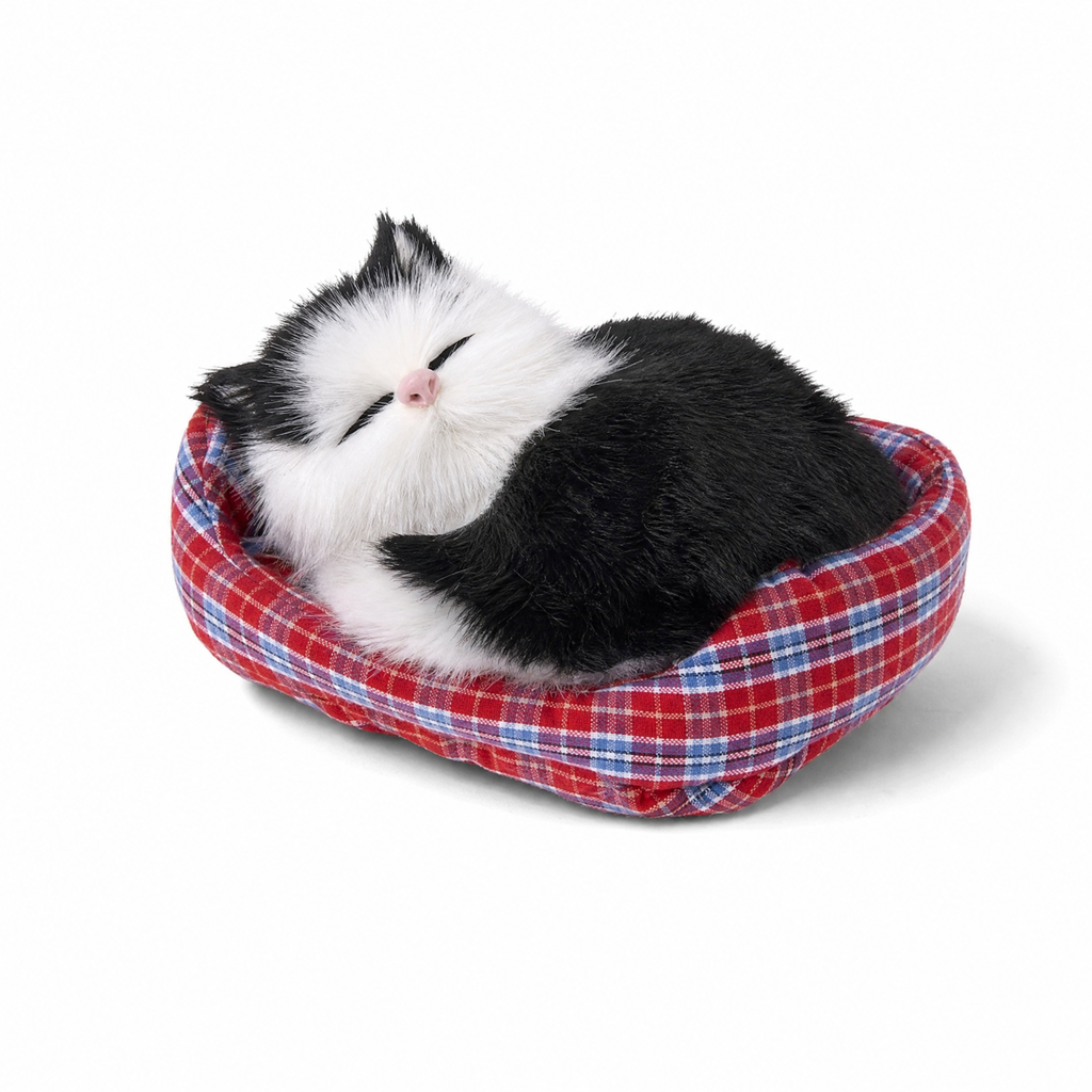 Schlafende Katze Kuscheltier mit Deko-Körbchen - Weißer Hintergrund frontal