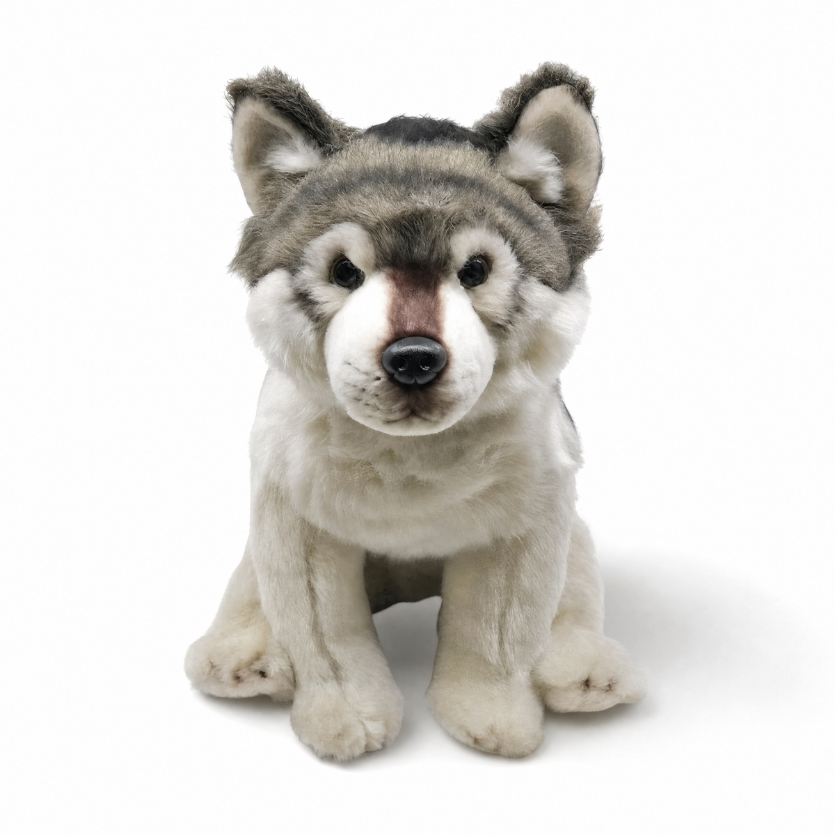 Sitzendes Wolf Kuscheltier realistisch 27cm - Weißer Hintergrund frontal