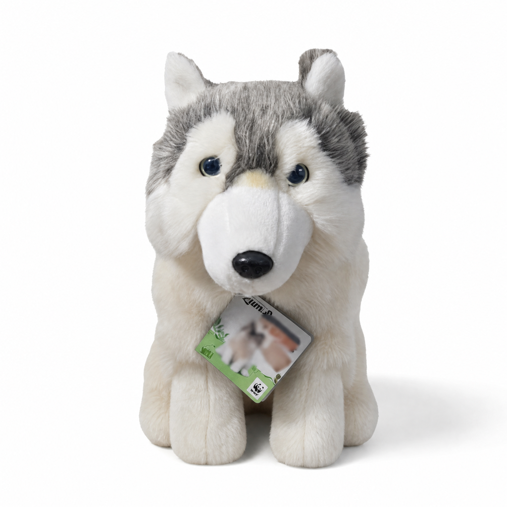 Sibirischer Grauwolf Kuscheltier 28 cm - Weißer Hintergrund frontal