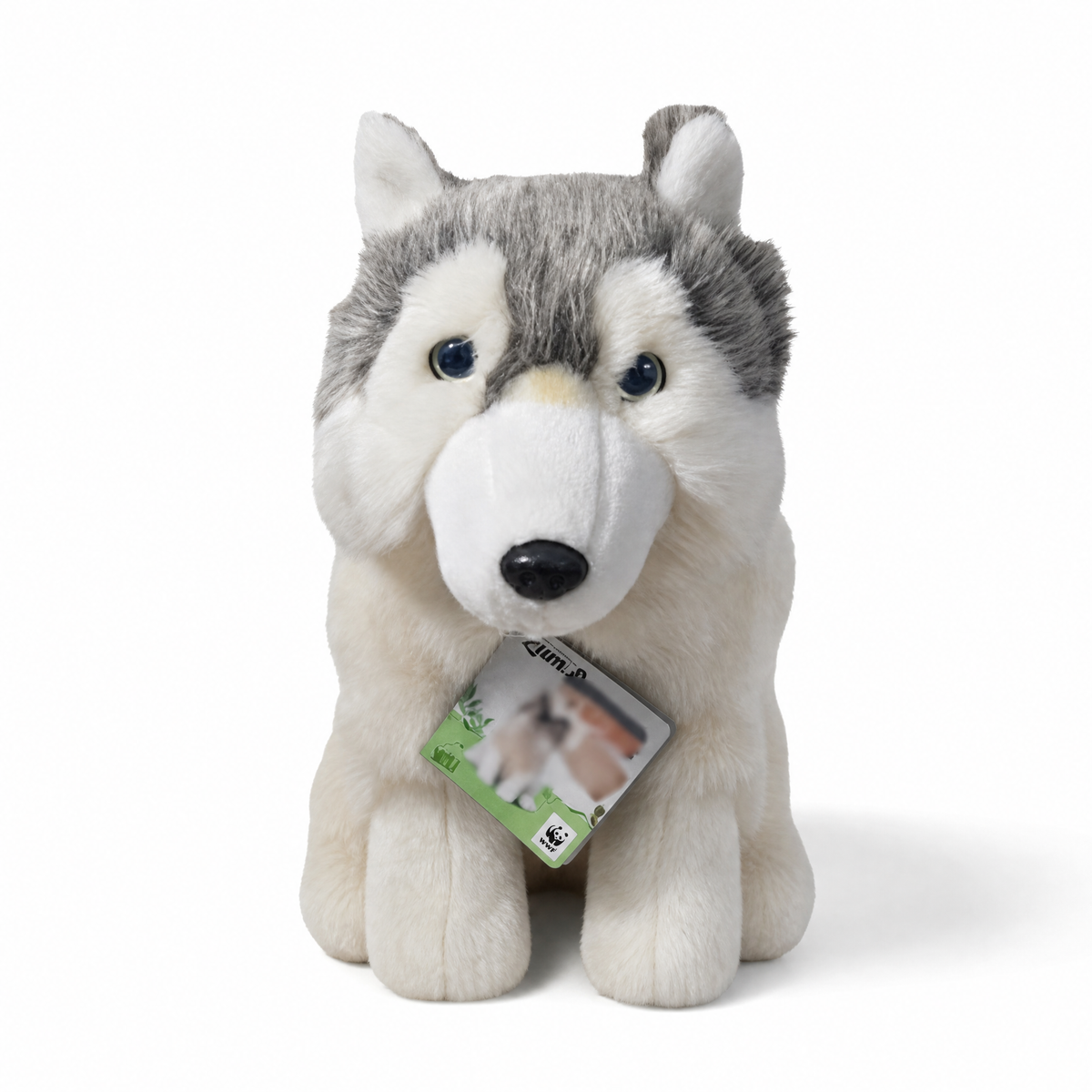 Sibirischer Grauwolf Kuscheltier 28 cm - Weißer Hintergrund frontal