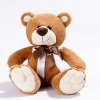 Braunes Teddybär Kuscheltier mit Satinschleife - Weißer Hintergrund Frontal