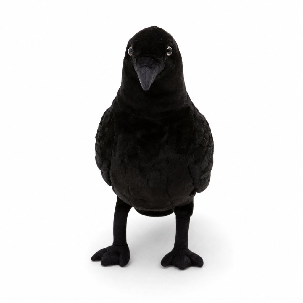 Schwarzes Rabe Kuscheltier Halloween Deko - Weißer Hintergrund frontal