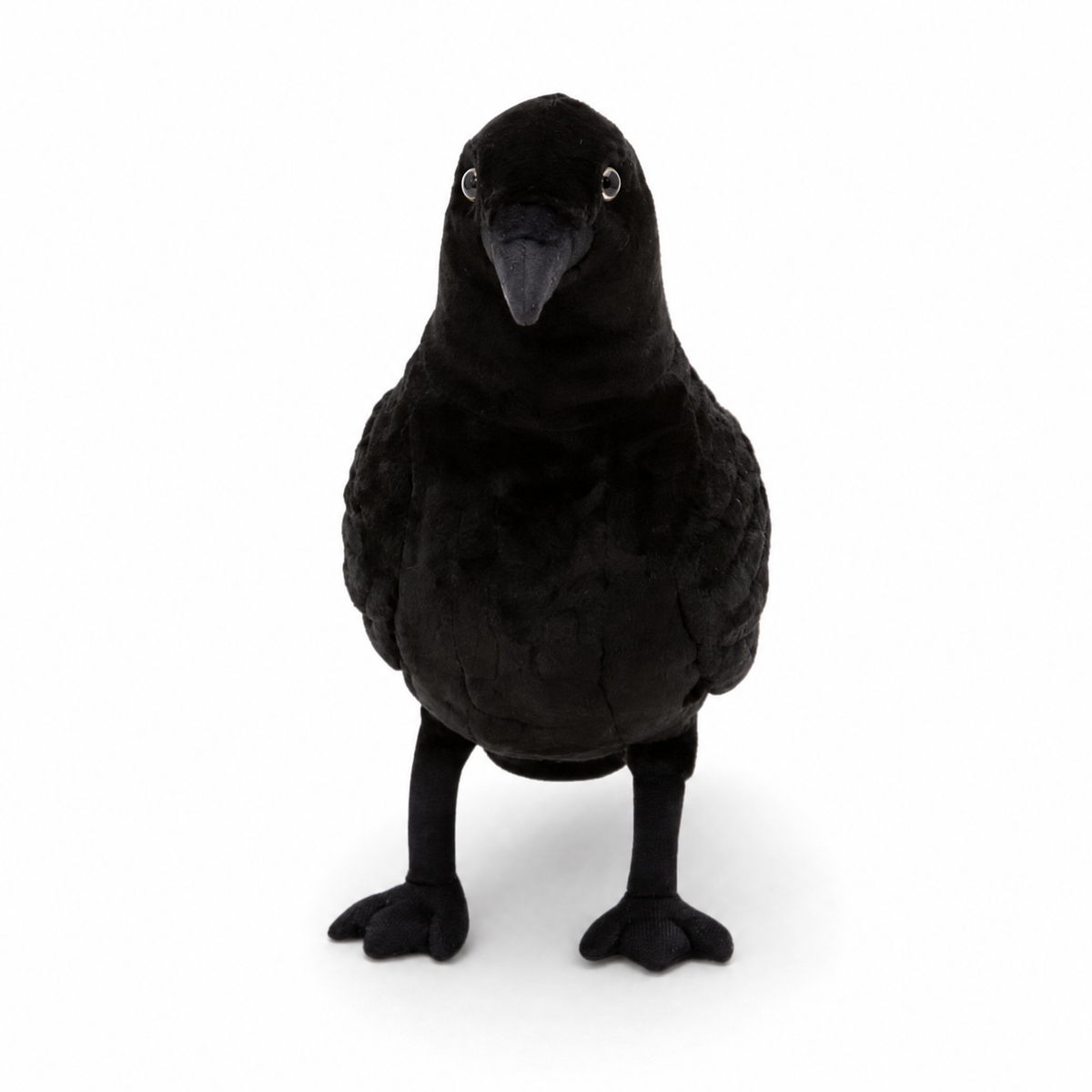 Schwarzes Rabe Kuscheltier Halloween Deko - Weißer Hintergrund frontal